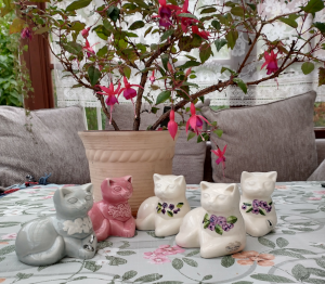 liggande små katter